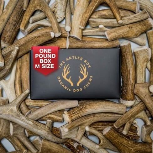 The Antler Box Premium Deer Antler Dog Chews (1 lb Bulk Pack) (Large (3 to 4 Antlers/lb)) in Saudi Arabia