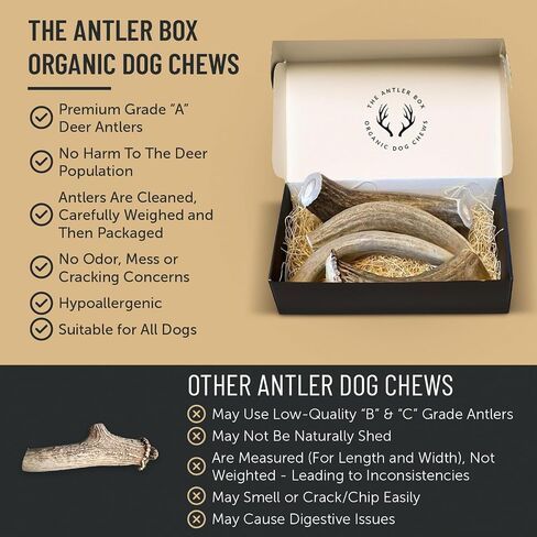 The Antler Box Premium Deer Antler Dog Chews (1 lb Bulk Pack) (Large (3 to 4 Antlers/lb)) in Saudi Arabia