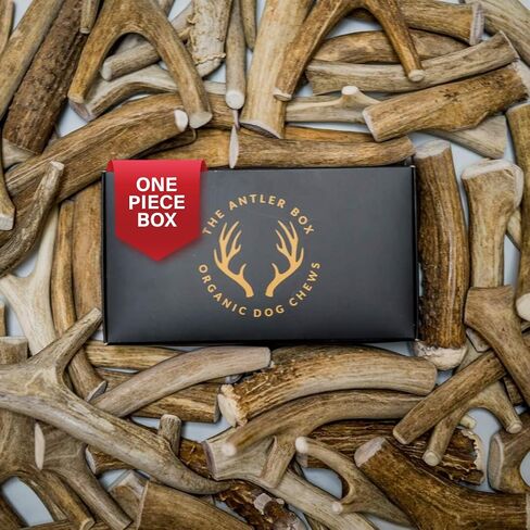 The Antler Box Premium Deer Antler Dog Chews (1 lb Bulk Pack) (Large (3 to 4 Antlers/lb)) in Saudi Arabia
