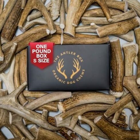 The Antler Box Premium Deer Antler Dog Chews (1 lb Bulk Pack) (Large (3 to 4 Antlers/lb)) in Saudi Arabia