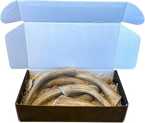The Antler Box Premium Deer Antler Dog Chews (1 lb Bulk Pack) (Large (3 to 4 Antlers/lb)) in Saudi Arabia