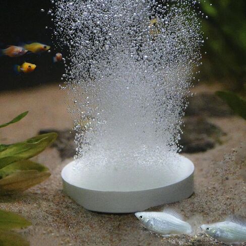 1.96 Inch Nano Air Stone - High Oxygen Diffuser for Aquariums, Plate Shape Bubbler with 1 Check Valve, Fish Tank Air Pump Accessories for Tanks (White,5 cm) in Saudi Arabia