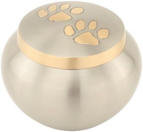 Paw Print Round Pet Cremation Urn for Ashes in Gray, Brass, Large, Dog, Cat, 4.75 Inches High in Kuwait