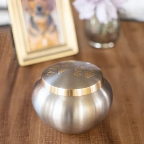 Paw Print Round Pet Cremation Urn for Ashes in Gray, Brass, Large, Dog, Cat, 4.75 Inches High in Kuwait