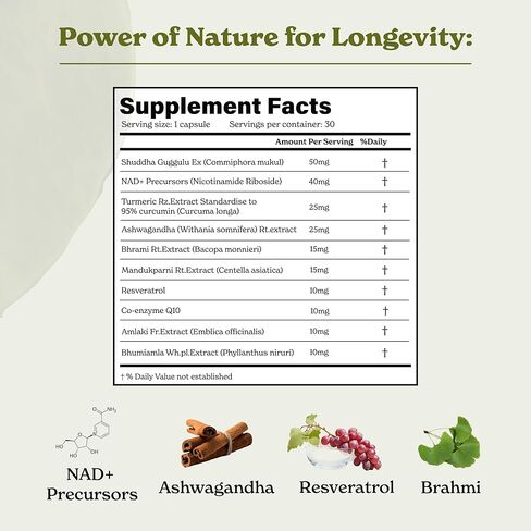 كبسولات البربرين (120) مع حمض الهيدروكلوريك 97%| مع قرفة سيلان، كركم، شاي أخضر، جينسينج| يساعد على الهضم ويدعم المناعة| نباتي وغير معدّل وراثيًا in Kuwait