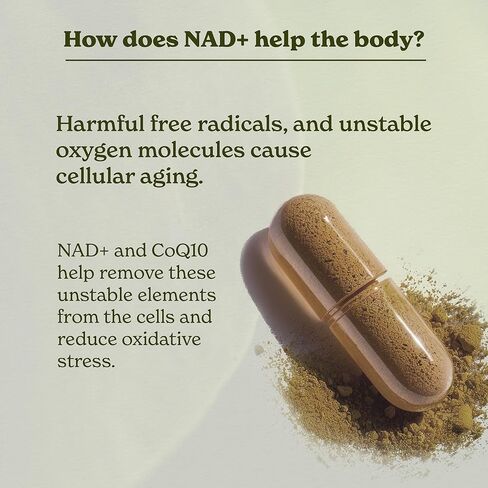 كبسولات البربرين (120) مع حمض الهيدروكلوريك 97%| مع قرفة سيلان، كركم، شاي أخضر، جينسينج| يساعد على الهضم ويدعم المناعة| نباتي وغير معدّل وراثيًا in Kuwait