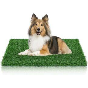 Globreen Dogs Grass Pee Pad for Puppy Potty Training ، Pet Friendly Grass Turf Mat outfore indoor use ، Whight Dristing ، 39.3 "× 31.5"