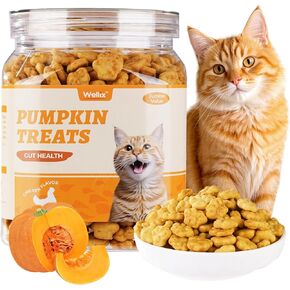 13.5oz Healthy Cat Treats Pumpkin Flavor - Chicken Formula Kitten Snacks - Cat Constipation Relief Low Calorie Cats Biscuits