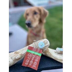 Coffee Wood Coffee Coffee الصديق للبيئة: أفضل طبيعته لحيوانك الأليف