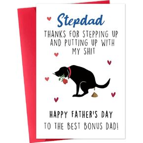 Funny Fathers Day Card for Best Dad, Fathers Day Card Gifts from Daughter, Unique Gifts for Dad Who Wants Nothing