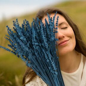 Dried Purple Lavender Flowers Bundle-Dried Preserved Lavender Bouquet 15-17" for Shower Weeding Home Vase Decor, Crafts, Aromatherapy, Fragrance, Fresh Silk Dry Live Plants, 50g(1.76oz)