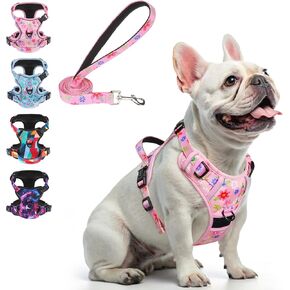 BEAUTYZOO No Pull Dog Harness Small, Adjustable Dog Harness and Leash Set -Easy Wearing with 3 Buckles/Control Handle,No Choke Soft Padded Reflective Pet Vest for Training Walking Hiking,Pink S