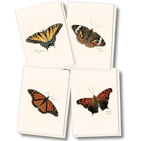 Earth Sky + Water - مجموعة Notecard Butterfly - 8 بطاقات فارغة مع مظاريف (2 كل من 4 أنماط)