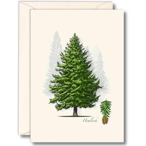 سماء الأرض + الماء - مجموعة Notecard Hemlock - 8 بطاقات فارغة مع الأظرف