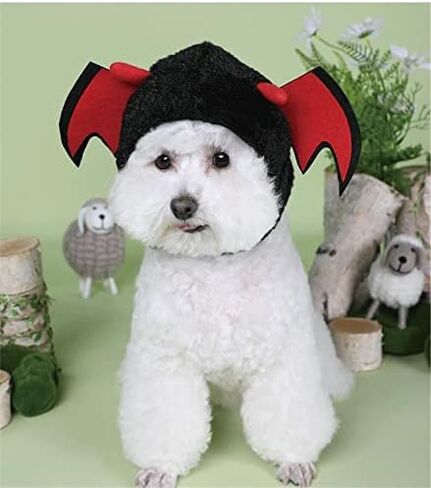 High Paw Pet Hat Bunny Hat for Cat and Dog (Bunny Ears) in Kuwait