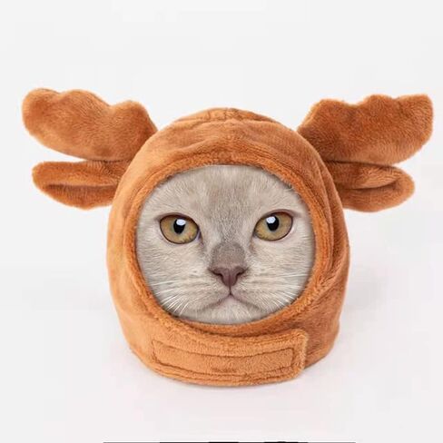 High Paw Pet Hat Bunny Hat for Cat and Dog (Bunny Ears) in Kuwait