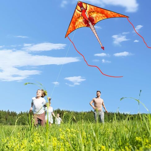 Kites for Kids Ages 4-8 & 8-12，Large Delta Kites for Adults, Beach Kite, Kids Kites Easy to Fly, Best Kites for Boys and Girls, Perfect for Beginners, Gifts for Holiday Easter Festival (Eagle Flag) in Saudi Arabia