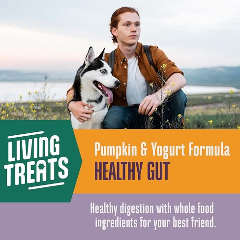 Whole Life Pet Human Grade Probiotic Dog Treats - Pumpkin & Yogurt – Easy Digestion, Firmer Stool, Sensitive Stomachs - Made in The USA in Saudi Arabia