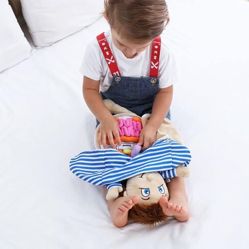 لعبة تشريح الجسم البشرية البشرية ، لعبة Montessori Preschool Educational Organ Mithing Toys for Kids ، وأدوات تعلم العلوم للطالب ، وأدوات تدريس الوعي بالأجسام للفتيات in Kuwait