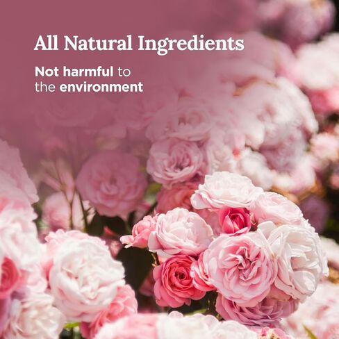 شمعة رائعة 101 معطرة بزهر الكرز تدوم طويلاً | 6 أونصة - حرق لمدة 35 ساعة | شمعة علاجية برائحة شمع الصويا الطبيعية والعضوية بالكامل لتنظيف الطاقة المنزلية وتنقيتها وإبرازها in Kuwait