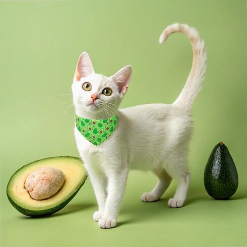 expawlorer طوق القط لطيف مع أجراس - 2 حزمة القط طوق الانفصال، القط باندانا طوق القط ربطة عنق طوق للقطط فتاة صبي، قابل للتعديل طوق هريرة الفاكهة للقطط الذكور الإناث، الفراولة in Kuwait