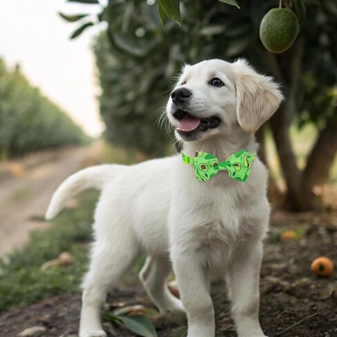 expawlorer طوق القط لطيف مع أجراس - 2 حزمة القط طوق الانفصال، القط باندانا طوق القط ربطة عنق طوق للقطط فتاة صبي، قابل للتعديل طوق هريرة الفاكهة للقطط الذكور الإناث، الفراولة in Kuwait