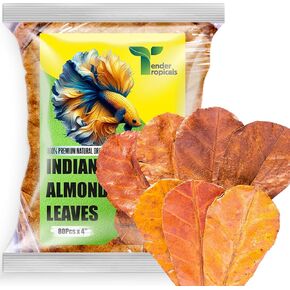 80 PCS Catappa Catappa Indian Almond ketapang أوراق لبيتا أسماك أسماك 4 بوصة لمكيف المياه للحوض والروبيان والسمك الذهبي والغابي والضفادع والزواحف والقواقع ، يدعم التربية والصحة