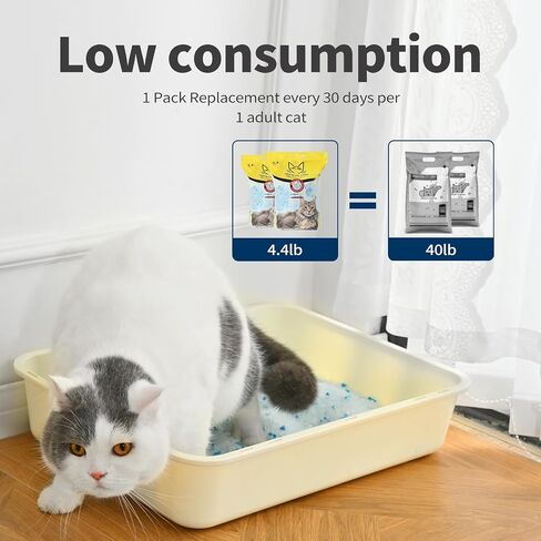 Cat Litter Crystals No Clumping Odor Control Kitty Litter Non-Clumping No scooping Low Dust, Low Tracking, Dehydrates Waste - 25.8 lbs (6 x 4.3 lb Packs) in Kuwait