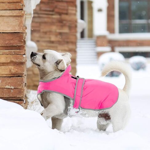 Migohi عاكس معطف الكلب المقاوم للماء - سترة دافئة عكسي سترة الشتاء العاصفة للكلاب الصغيرة إلى الكبيرة (البحرية ، م) in Kuwait