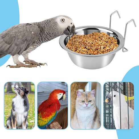 Hypeety Stainless Steel Food Water Cup with Bolt Hooks for Pet Bird Crates Cages Coop Dog Cat Parrot Bird Rabbit Pet (Medium,13cm) in Saudi Arabia