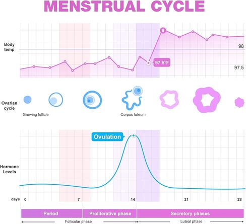 Easy@Home Pregnancy Test Strips Kit: 50-Pack HCG Test Strips, Early Detection Home Pregnancy Test EZW1-S:50 in Kuwait