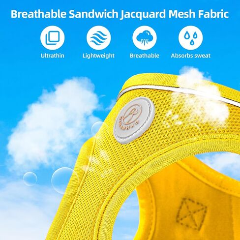 Soft Mesh Dog Harness and Leash Set, No Pull Puppy Harness and Leash Set, Reflective Step in Harness for Small Medium Dogs, Easy Walk Escape Proof Vest Harnesses (Yellow, XS) in Saudi Arabia