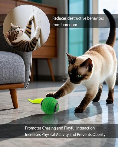 Interactive Cat Toys Balls for Indoor Cats, Fast Charging Electric Automatic Moving Cat Hunting Toy for Kittens and Adult Bored Cats, Speedy Tail 2.0 cat Toy in Saudi Arabia
