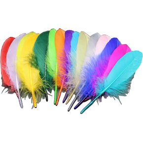 20pcs 6 "-8" (15-20 سم) اللون المتنوع الطبيعي ريال الأوز الحقيقي مرحلة زهرة زهرة الدعائم بومس لديكور دي ديكور حفل زفاف الحرف المنزل الديكور ملونة