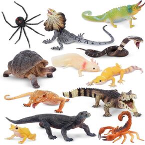 مجموعة ألعاب التمييز الحيوانية من Toymany الزواحف ، 12 PCS شخصيات حيوانات برمائية مع Komodo Dragon Snake Chameleon Rainforest Blood Plood Plughures Forms for Kids