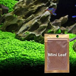 2 Pack Aquarium Plant S.e.e.ds for Fish Tank, Mini Leaf, Aquarium Aquatic Water Grass Foreground Decor,Easy-to-Grow Real Carpet Decorations for Fish Tanks