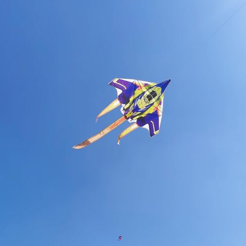 Besra Colorful Plane Kite Line Single Line سهلة الطيران طائرة نايلون طائرة ورقية للأطفال والكبار الطائرات الورقية in Kuwait