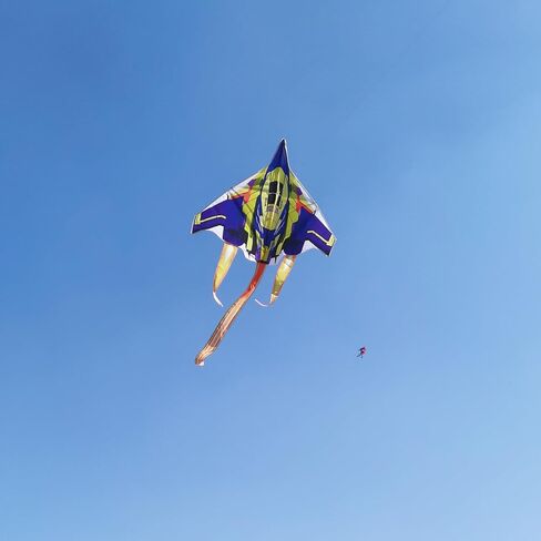 Besra Colorful Plane Kite Line Single Line سهلة الطيران طائرة نايلون طائرة ورقية للأطفال والكبار الطائرات الورقية in Kuwait