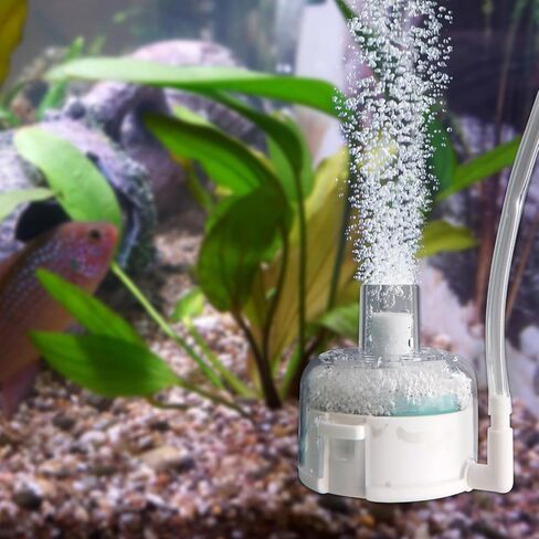 Small Aquarium Sponge Filter, Small Fish Tank Filter & Mini Submersible Fish Filter Built-in Air Bubble Stone and Bio Sponge for Fish Tanks up to 5 Gallon (Air Pump Not Included) in Kuwait