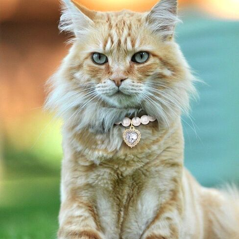 Pearl Collar for Cat Puppy, Small Cute Heart Shape Rhinestone Pet Necklace, Adjustable Wedding Party Pet Jewelry Accessories for Puppy Kitten- White in Kuwait