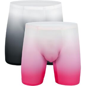 WINDAY Men's Briefs Gradient Color Ice Silk Sports-Inspired Underwear Boxer Briefs N2305