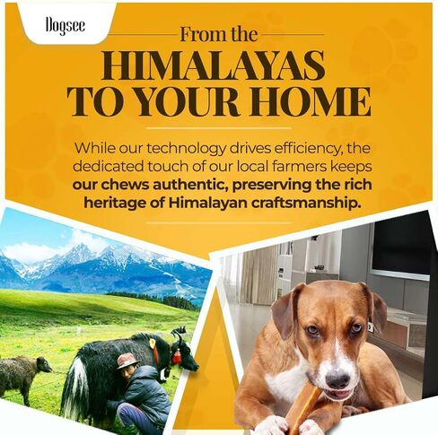 Dogsee Himalayan Yak Chews with Turmeric/Curcumin (Small - 3 Bars) | for Small Dogs | Dog Treats for Dogs | Help Alleviate Joint Pain | Rawhide-Free in Saudi Arabia