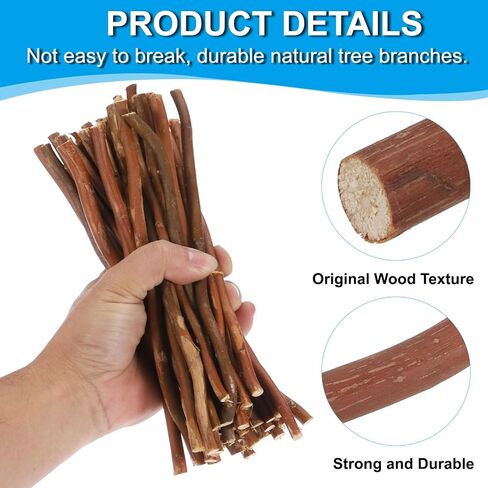 PATIKIL 36 Pcs 10cm Wood Log Sticks, Natural Wood Craft Sticks, Dried Wood Sticks Wooden Branches for DIY Crafts Accessory Decor Photo Props, Wood Color in Kuwait