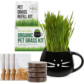 TCL Black Cat Mug Cat Grass و swill
