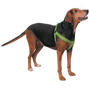 Guardian Gear 2 Step Step Pet Tharness
