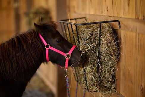 مغذية رف القش ذات الصلب المناظر الطبيعية الخلابة ، للخيول ، الماعز ، الأغنام ، الماشية ، كبيرة in Kuwait
