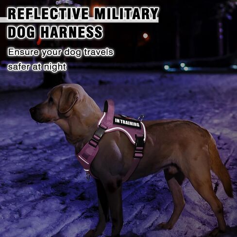 خدمة Winsee Dog Dog في تسخير التدريب مع 5 PCS بقع ، تسخير سترة الكلب التكتيكي العاكس ، تسخير PET ناعم قابلة للتعديل مع مقبض التحكم السهل ، لوحات الخطاف والحلقة للمشي المشي لمسافات طويلة in Kuwait