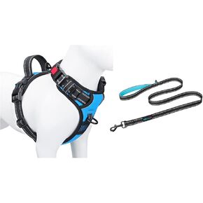 PHOEPET No Pull Dog Harness + Matching Leash