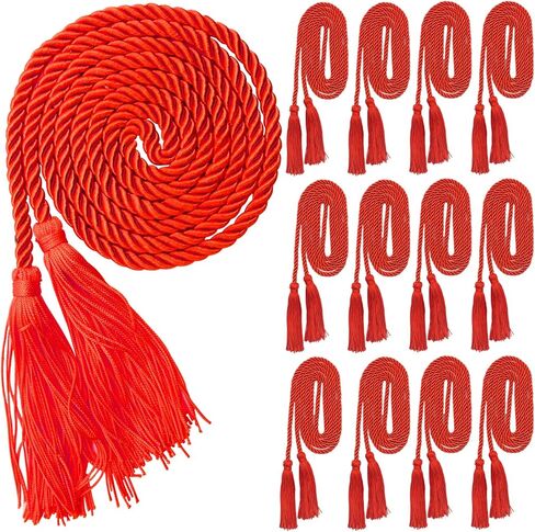 24 Pieces Graduation Honor Cord Rayon Braided Honor Cords,Graduation Cords,2025 Graduation Tassel Honor Cords for Graduation Students Bachelor Master Doctoral Gown Grad Decor in Kuwait