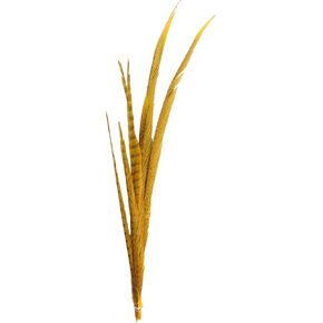 منتجات Zucker Feather Products Bleach/Natural Pheasant Feather ، 16 × 30 بوصة ، برتقالي مصبوغ